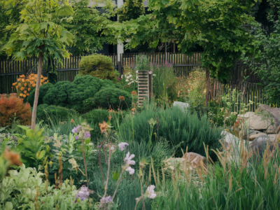 Comment savoir si votre jardin favorise vraiment la biodiversité et quelles actions concrètes entreprendre